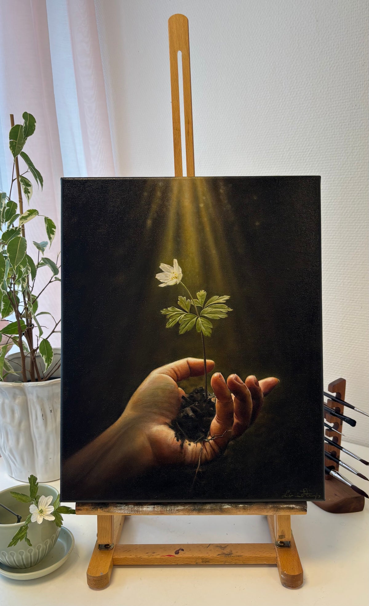 "Vitsippa" - Oil painting