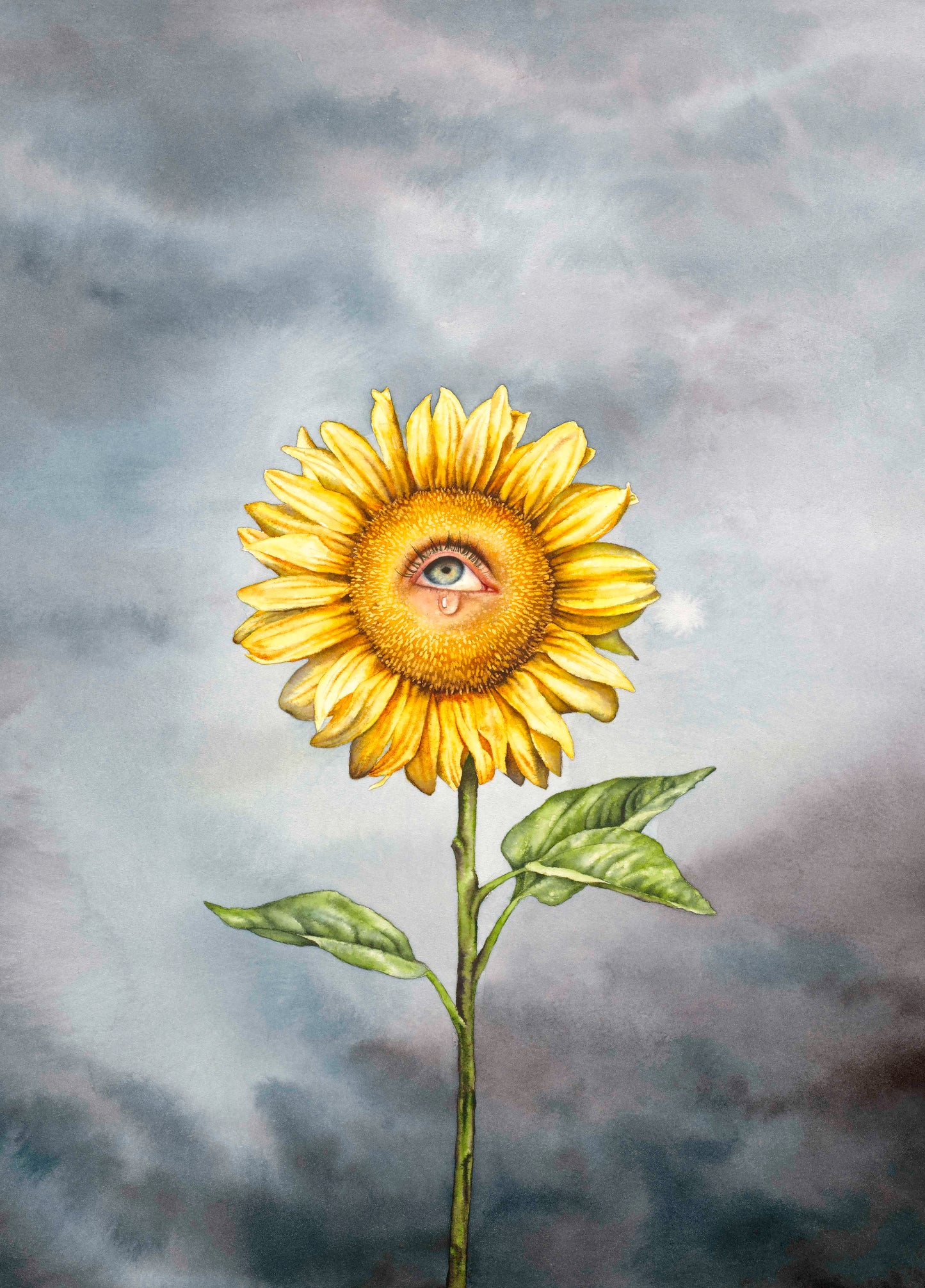 "Sunflower", Watercolour (print)